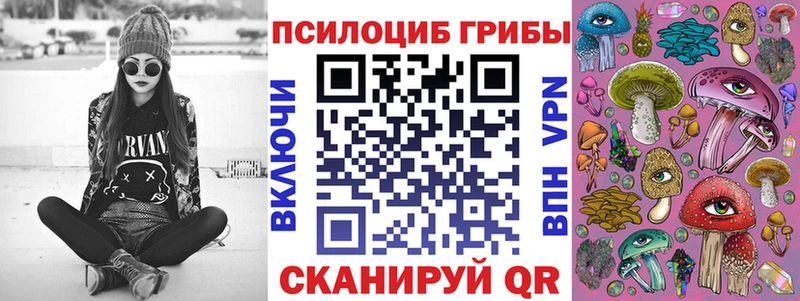 Псилоцибиновые грибы Psilocybe  Купить где  Курчалой 